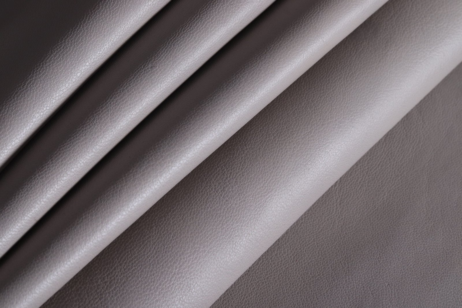 GOAT DYNASTY - Image 2