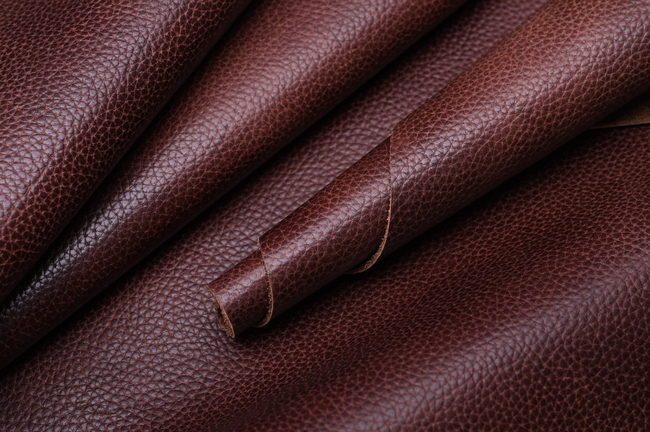 COW ADALIA VT - Image 2