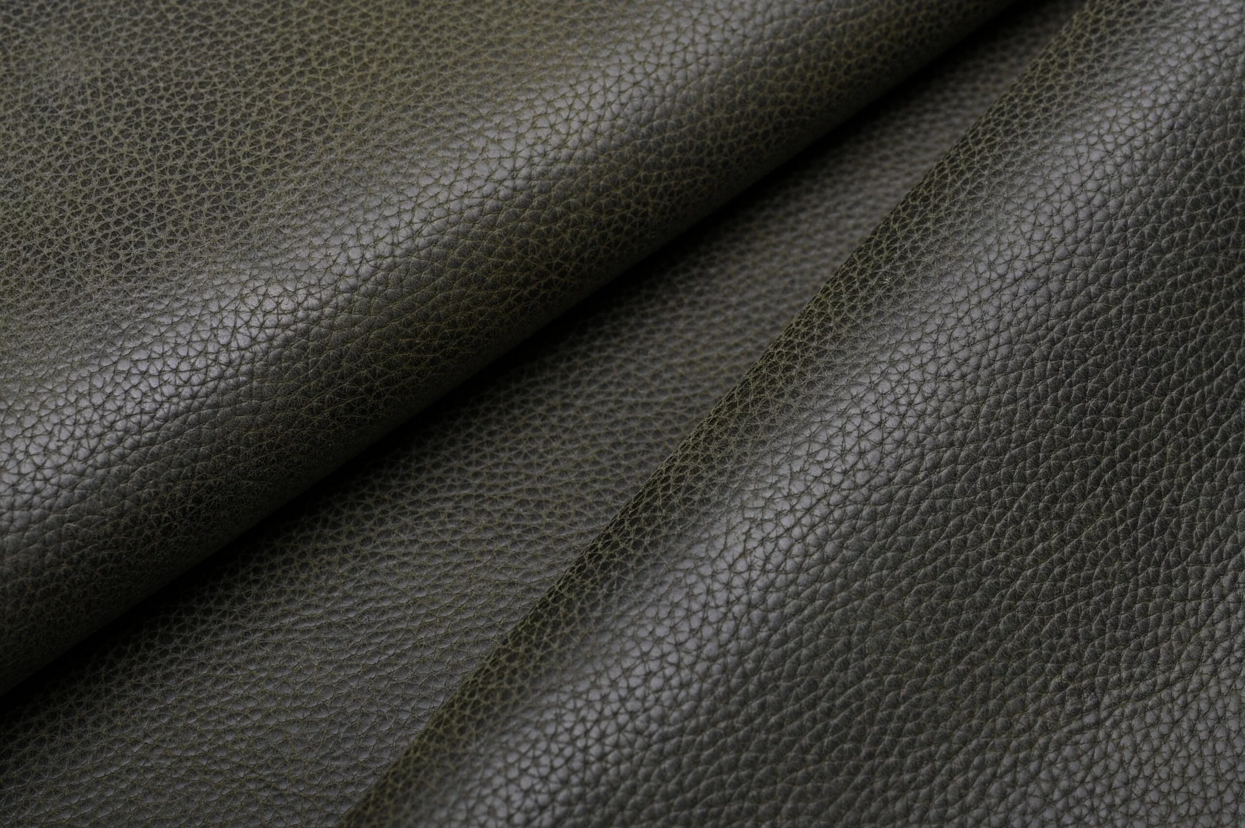 COW ADALIA VT - Image 4