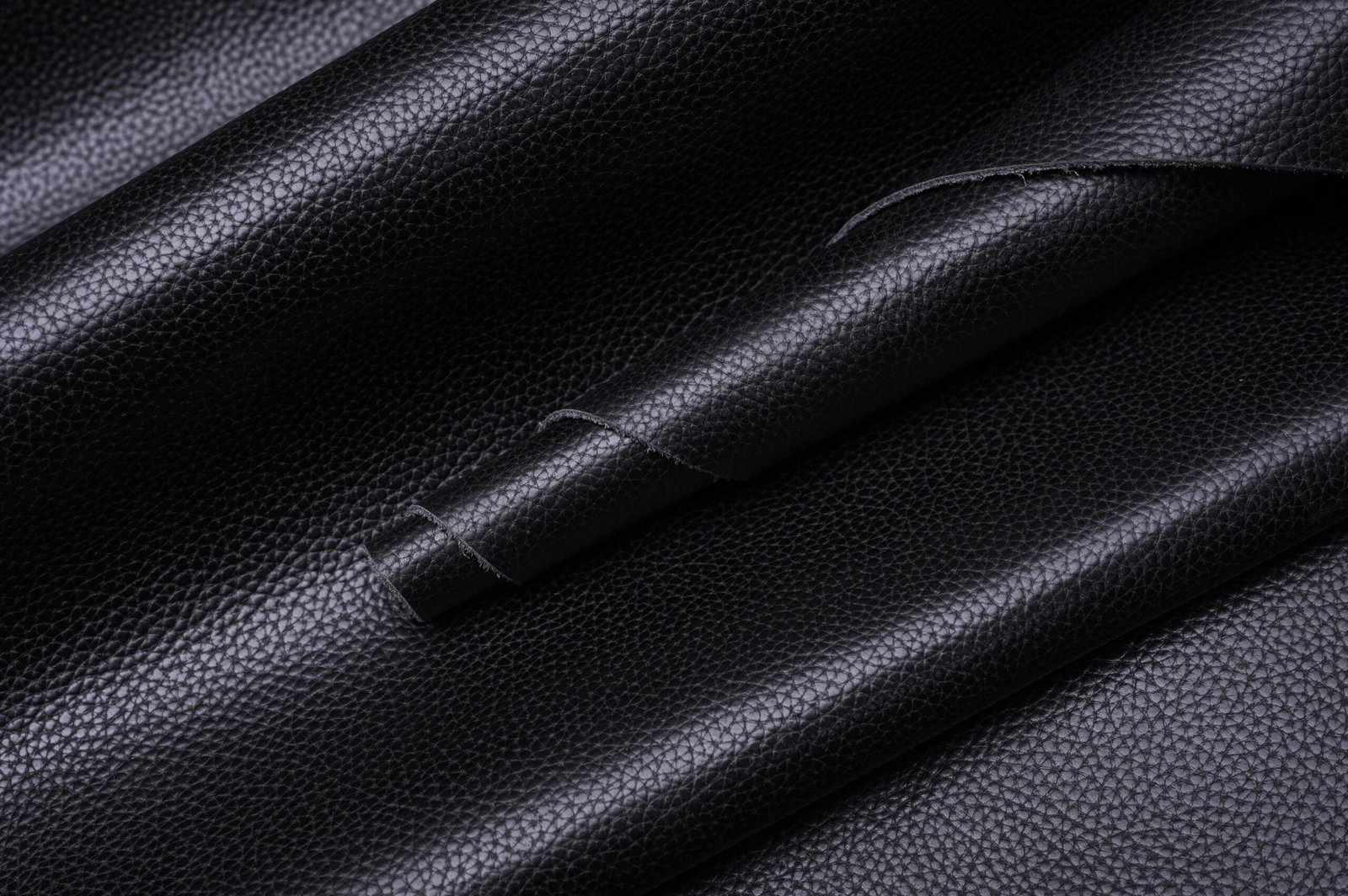 COW ADALIA VT - Image 2