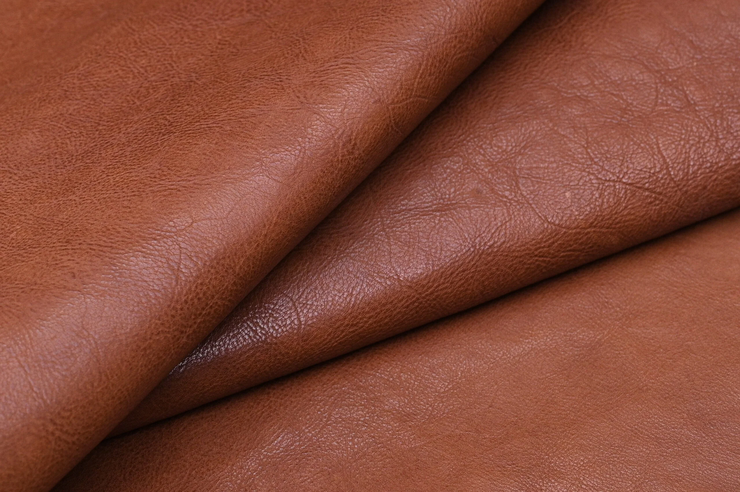 COW CIREZ VT - Image 3