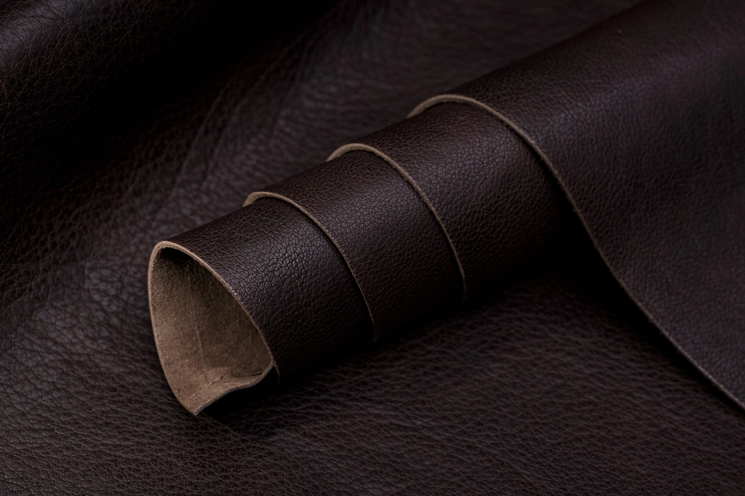 BUFF CASSIDO VT - Image 2