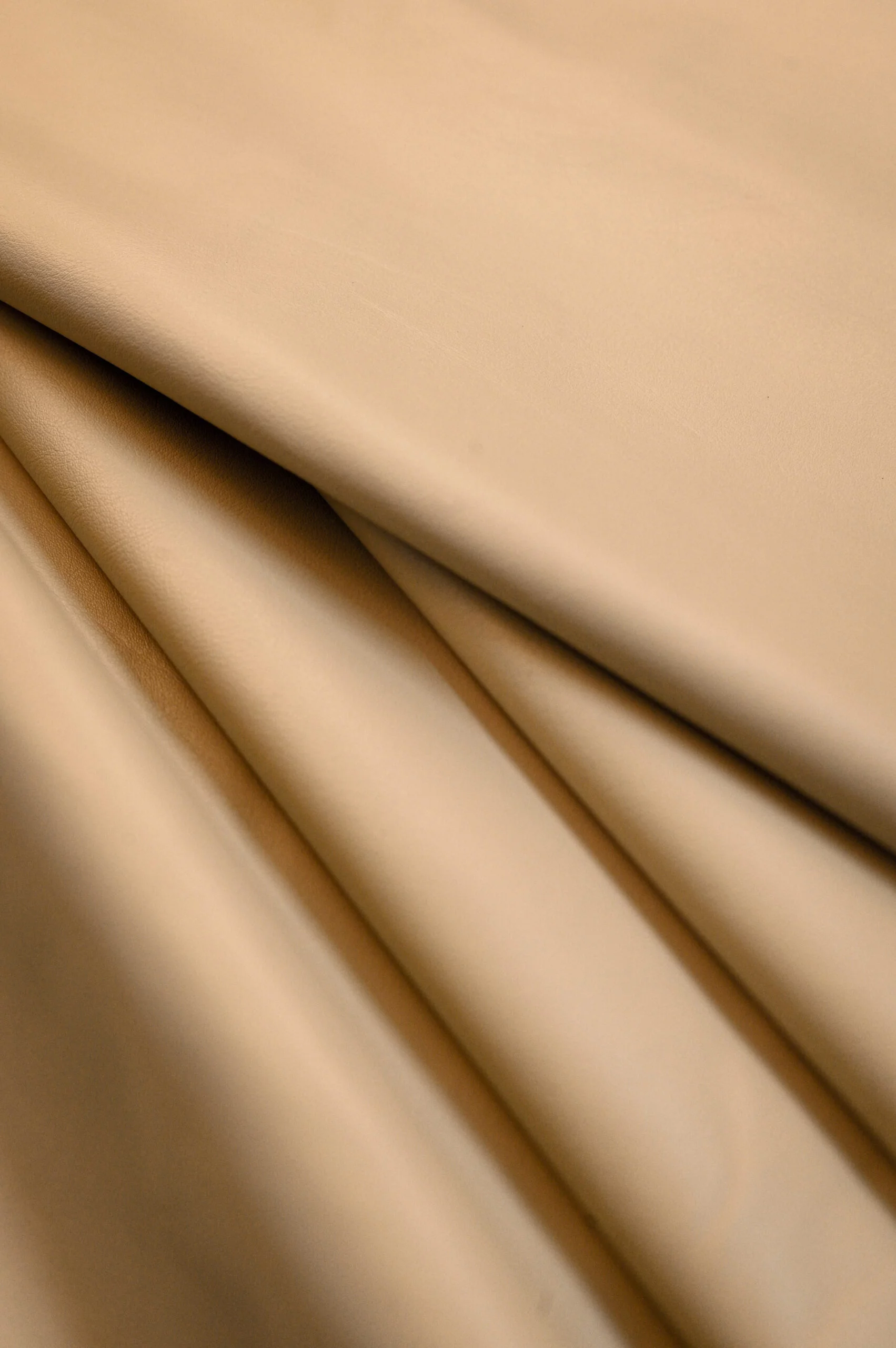 COW MARINA - Image 2